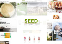 Seed - Organic WordPress Theme