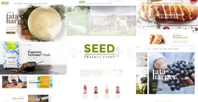 Seed - Organic WordPress Theme
