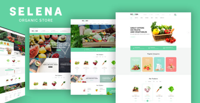 Selena - Organic Food Store Theme for WooCommerce WordPress