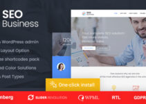 SEO Business - SEO, Social Media and Marketing WordPress Theme