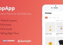 ShopApp - WordPress Theme for Small Business