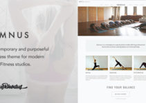 Somnus - Yoga & Fitness Studio WordPress Theme