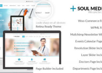 SoulMedic Health | Medical & Health Care Theme