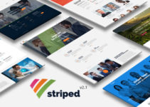 Striped - Multipurpose Business and Corporate Theme