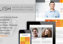 STYLISH - Metro Multi-Purpose WordPress Theme