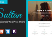 Sultan - One Page Business WordPress Theme