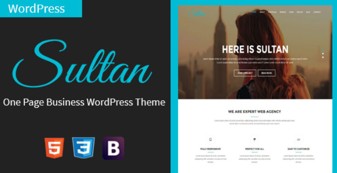 Sultan - One Page Business WordPress Theme