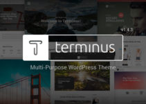 Terminus - Responsive Multi-Purpose WordPress Theme