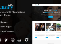 The Charity - Charity / Nonprofit / Fundraising WordPress Theme