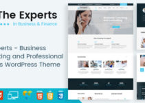 The Experts - Business Consulting and Professional Services WordPress Theme