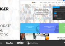 TIGER – Social Network Theme for Companies & Professionals