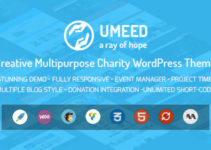 Umeed Charity WordPress Theme For Fundraising