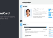 vCard Responsive WordPress Theme