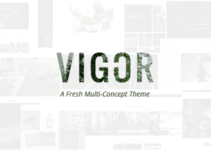 Vigor - A Fresh Multi-Concept Theme