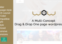 Wow Multi Concept One Page WordPress Theme