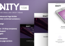 Xinity - Multi-Purpose Drag and Drop Theme