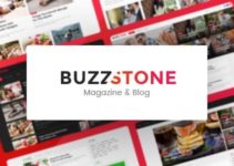 Buzz Stone | Magazine & Viral Blog WordPress Theme