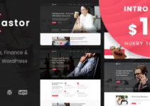 Castor - Business Consulting WordPress Theme