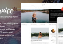 Janice - A Responsive WordPress Blog and Shop Theme