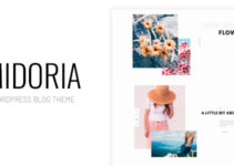 Midoria - Personal WordPress Blog Theme