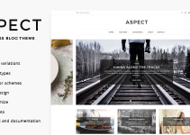 Aspect - WordPress Blog Theme