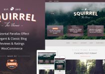 Squirrel - A Responsive WordPress Blog Theme