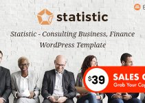 Statistic - Business Consulting and Professional Services WordPress Theme