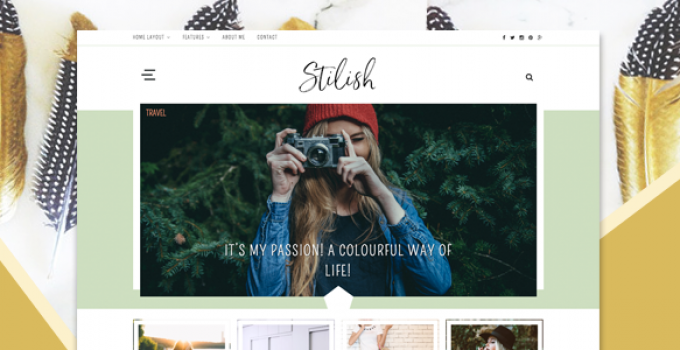 Stilish - Responsive WordPress Blog Theme