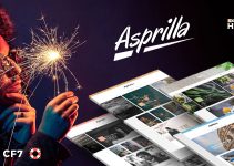 Asprilla - a Multi-Concept Blog Theme For WordPress