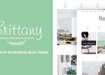 Brittany - A Responsive WordPress Blog Theme