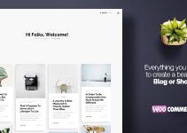 Caprisa - Personal WordPress Blog & Shop WooCommerce Theme