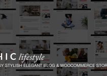 Chic Responsive Blog & WooCommerce WordPress Theme