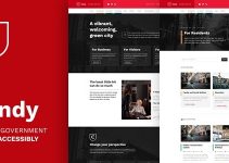 Cindy - Accessible Local Government WordPress Theme