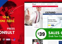 Consult Press - Finance & Consulting Business WordPress Theme