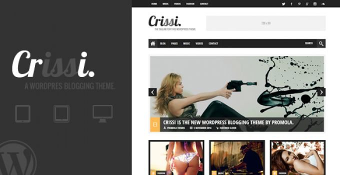 Crissi - Blogging Theme