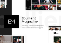 Ebullient - Modern News and Magazine Theme