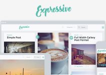 Expressivo - Lifestyle Masonry WP Blog Theme