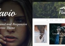 Flavio - A Personal & Responsive WordPress Theme