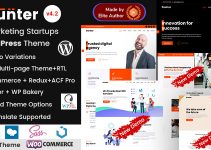 Gunter - IT & Marketing Startup WordPress Theme