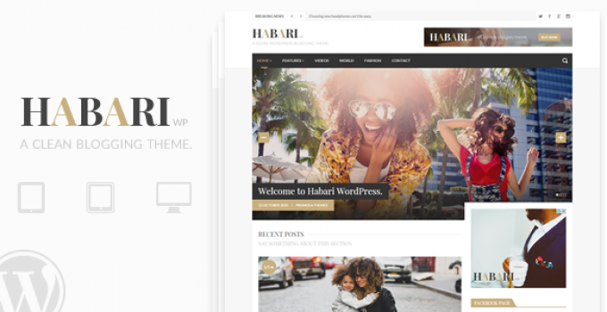 Habari - A Responsive WordPress Blog Theme