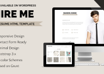 Hireme - Responsive Resume WordPress Theme