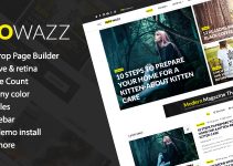 InfoWazz - WordPress Theme for Blog / Magazine / Newspaper