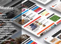 Master | Premium Blog and Magazine WordPress Theme