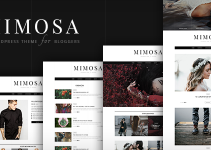 Mimosa | WordPress Theme for Bloggers