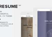 Miresume - Resume, CV & Portfolio WordPress Theme