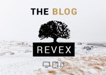 REVEX - Personal WordPress Blog Theme
