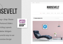 Roosevelt - Responsive WordPress Blog Theme