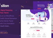 Silion - Digital Marketing WordPress Theme