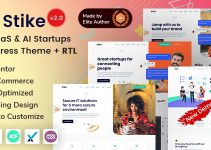 Stike - IT Startups WordPress Theme