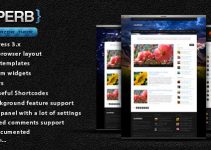 Suberb - blog/magazine WordPress theme